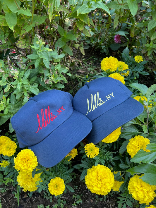 Mills.NY Script Snapback